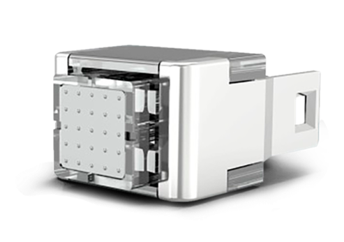 Microchip  Mesoject Gun SKIN 15% Weihnachten25